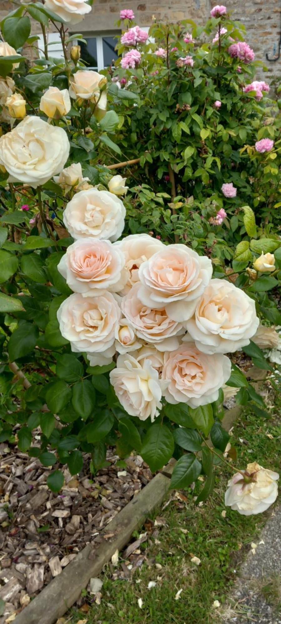 La Chatre Ronthon 外观 照片